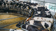 CDP estimates that 90% of food sector emissions happen in the supply chain
